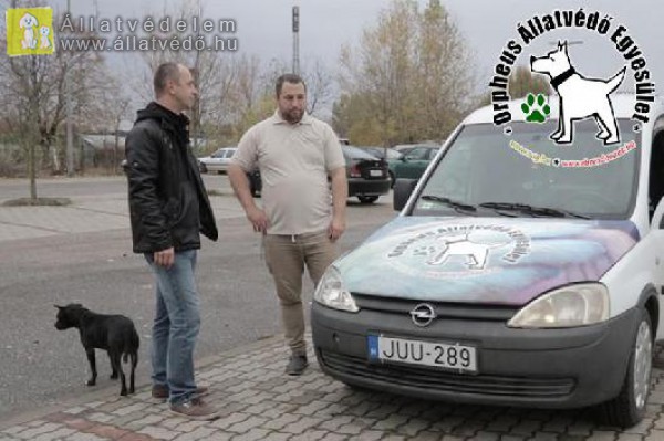 Állatmentő autó, állatvédő adomány