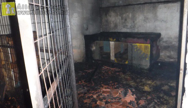Legalább 60 kutya pusztult el az állatmenhelyen keletkezett tűzben