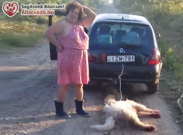 Kocsi után kötötte, majd élve elásta kutyáját egy asszony